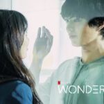 wonderland-resenha