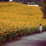 jardim de flores em Taiwan