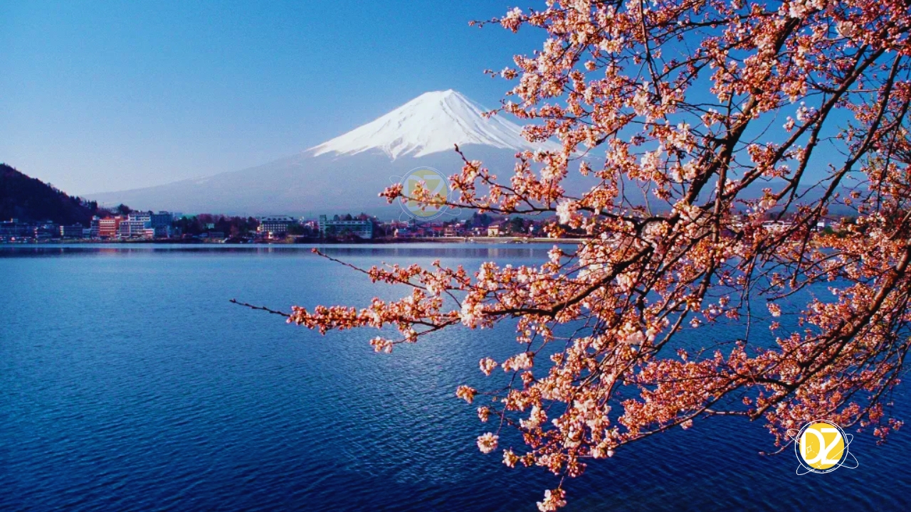 japao cerejeiras