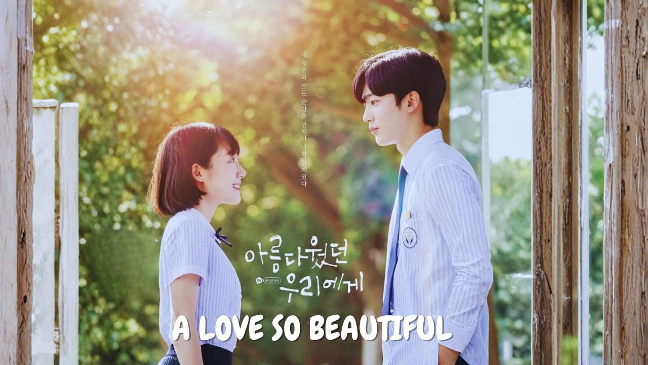 Dorama A Love so Beautiful