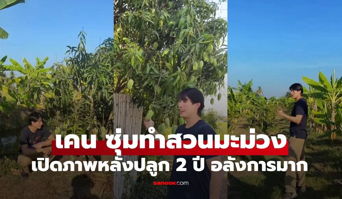 Conheça o projeto agrícola do astro tailandês Ken Phupoom: pomar de mangas orgânicas, plantas raras e negócios que mostram um novo rumo na carreira